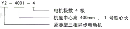 YR系列(H355-1000)高压YKK4501-4三相异步电机西安西玛电机型号说明